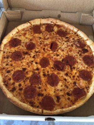 A Large Pepperoni Pizza.