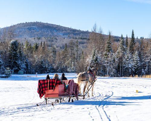 Winter sleigh ride