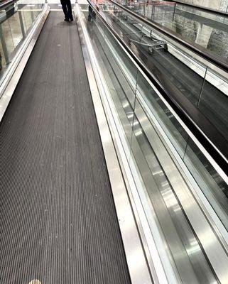 I Could Stay In This Moving Walkway For A While