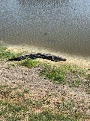 Eagle Lakes Golf Club