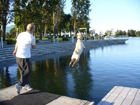 Advanced Dock Diving Class