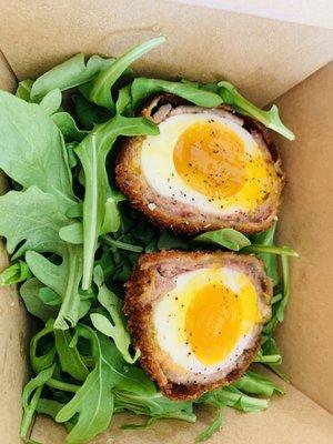 Scotch egg