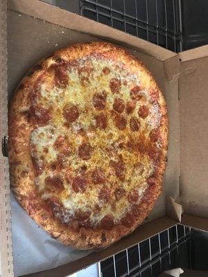 Large 1 topping pizza