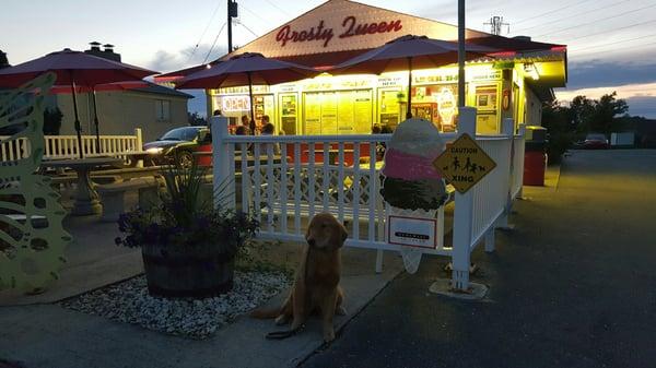 They have puppy bowls for the dogs