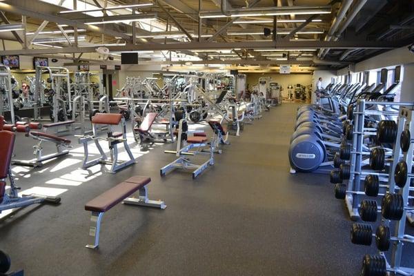 Brand new Cybex, Life Fitness, and Hammer Strength weight and cardio machines