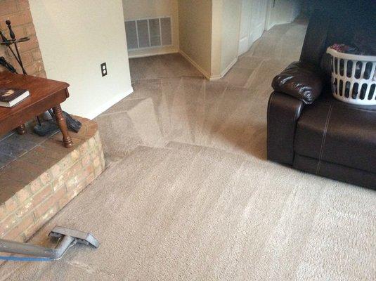 Farmers Branch Carpet Cleaning