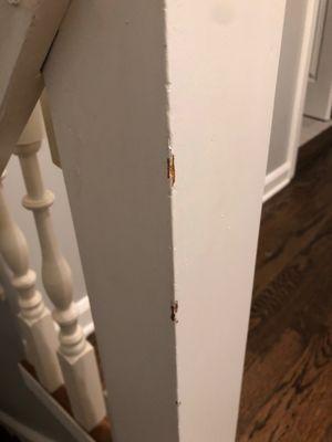 Damage caused by movers