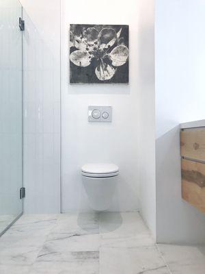 Wall hung, concealed tank toilet. Toto / Geberit combo.