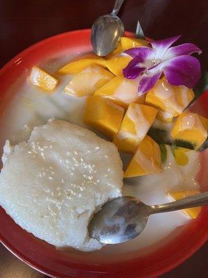 Mango Sticky Rice