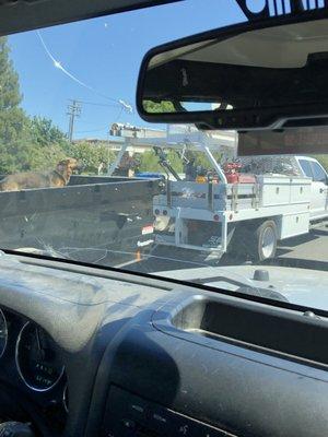 A dog left in the exposed trailer riding down the freeway.