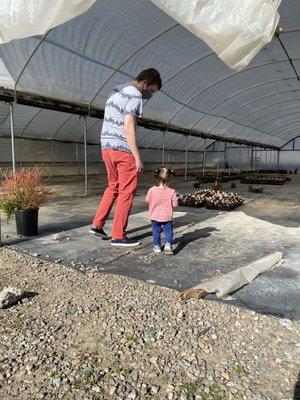 Checking out the plants that grow well in shade.