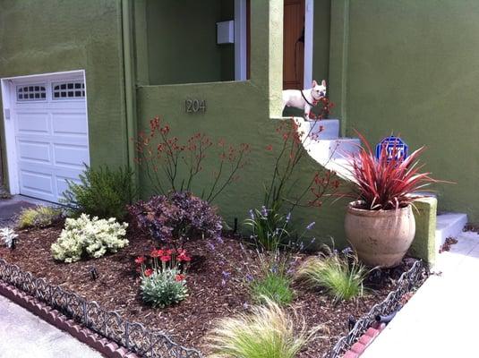 Our simple but charming front garden (French bulldog not included).