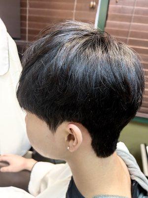 Men's downperm