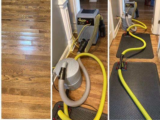 Water leaks on hardwood floors - Try our Injection Drying system!!