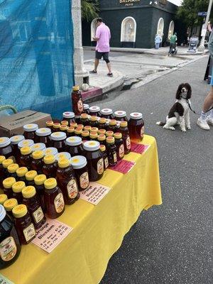 Local honey, and one of the many renegade dogs.