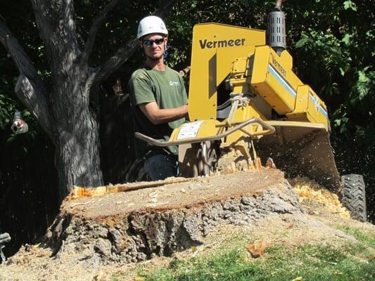 Stump Grinding