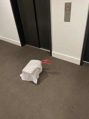 People would leave their trash bags in the hallway out of frustration when the elevators were broken, which was often the case.