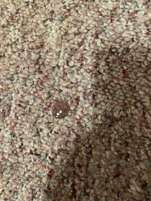 Gum on carpet