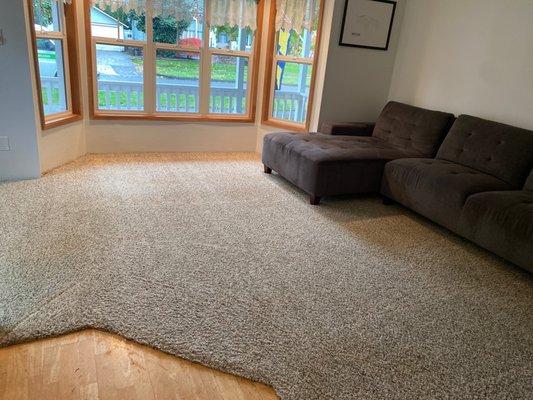 Clean living room carpet!