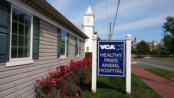 We look forward to meeting you and your pet at VCA Healthy PAWS Medical Center