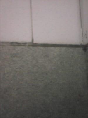 Mold in several corners of shower