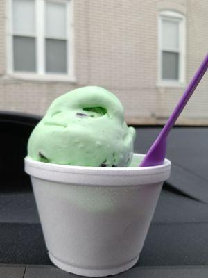 Mint chocolate chip ice cream