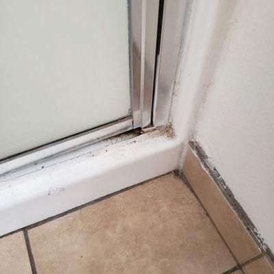 Dirty shower door