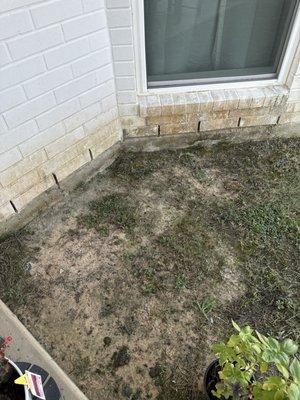 Massive drainage issues around our foundation