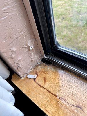 Water damage and holes in the window sill letting in Lord knows what.