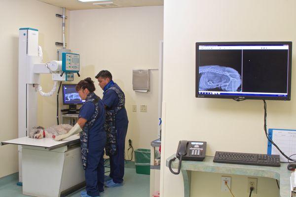 At VSS, we offer a variety of advanced diagnostic imaging services -- all onsite.