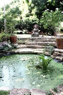 Buddha pond