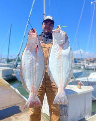 Big fish in San Francisco Bay