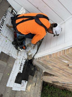 Removing the section of the roof near the wall to find leak