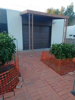 This is the new door on 9/7/2022.  The patio is now an orchard of drawf fruit trees.