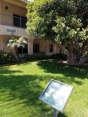 We are in the center courtyard area of the Clock Tower Office Plaza near the clocktower.