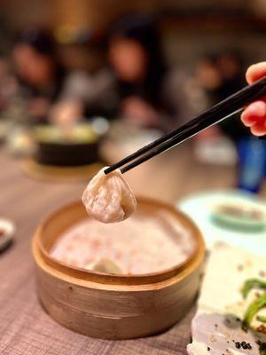 Shanghai Pork Soup Dumplings (5)