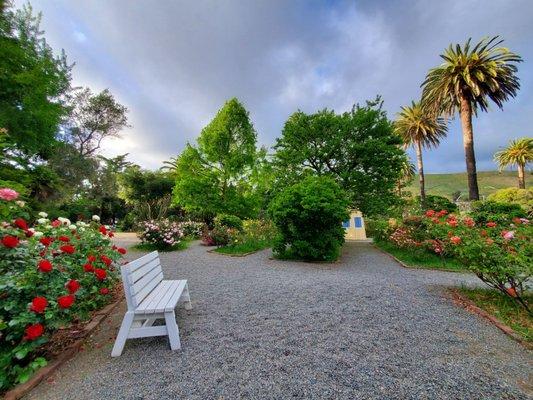 Niles Rose Garden