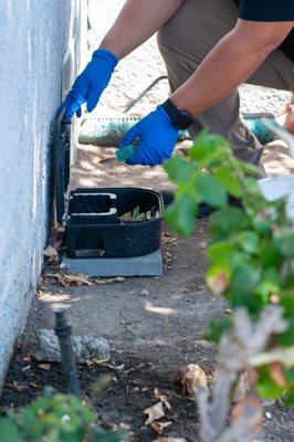 Protect your property from rodents with our rodent baiting services.