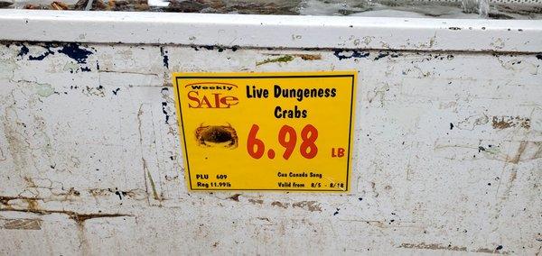 Live Dungeness Crab