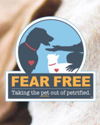 Our Doctors are all Fear Free Certified to help make your pet's visit "Fear Free"!