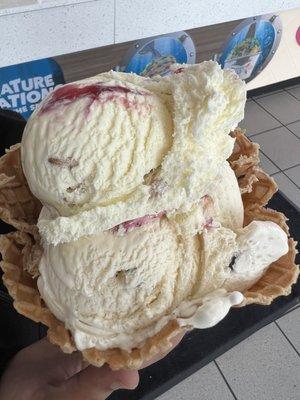 3 scoops in a waffle bowl