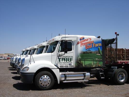 We deliver your new sod with our own trucks.  From start to finish your grass is in the hands of Evergreen Turf.