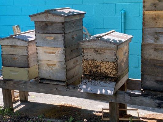 Apiary