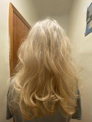 Hair Metal platinum blonde double processed hair @ $260 , please don't forget the tip , they are very up front about the tip!