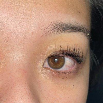 Lash Lift/Perm