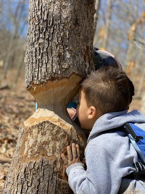 Mommy's little beavers.