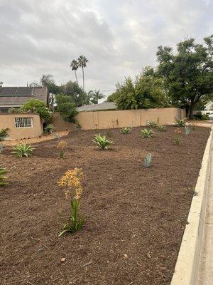 After picture of mulch installed on top of the weed barrier