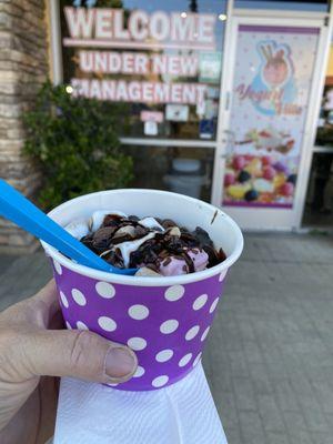 Frozen Chocolate and Raspberry