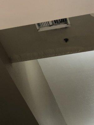 Black mold on a vent in the pool area, paint swollen for some unknown reason