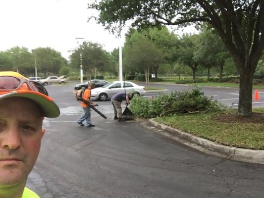 Tree trimming @ executive suites orange park florida